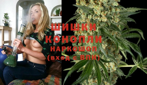 молекула духа Верхний Тагил