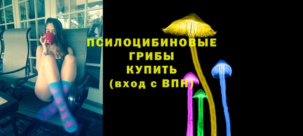 шишки Володарск