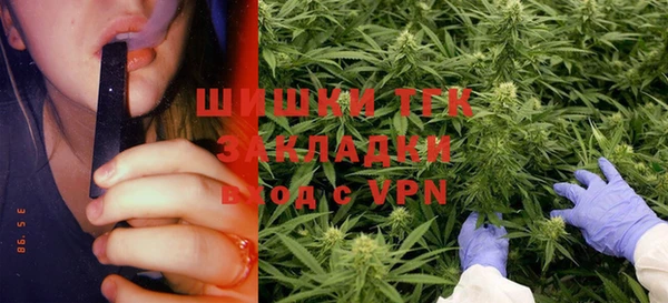 шишки Володарск
