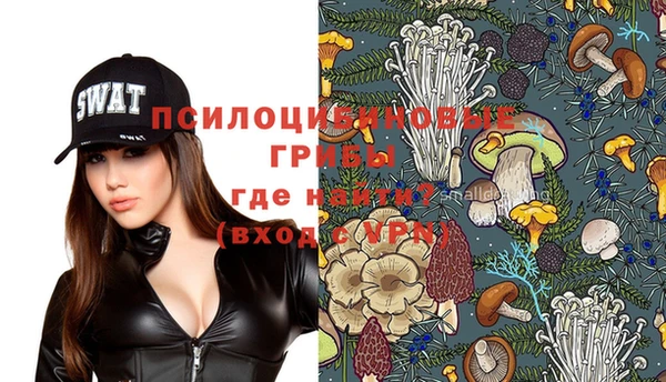 шишки Володарск