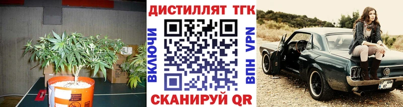 Дистиллят ТГК Wax  Купить где  Гаджиево 