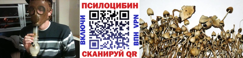 Купить где  Гаджиево  Псилоцибиновые грибы прущие грибы 